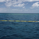Illustration for article titled Pacific Ocean Quarantined After Contact With Carnival Cruise Ship